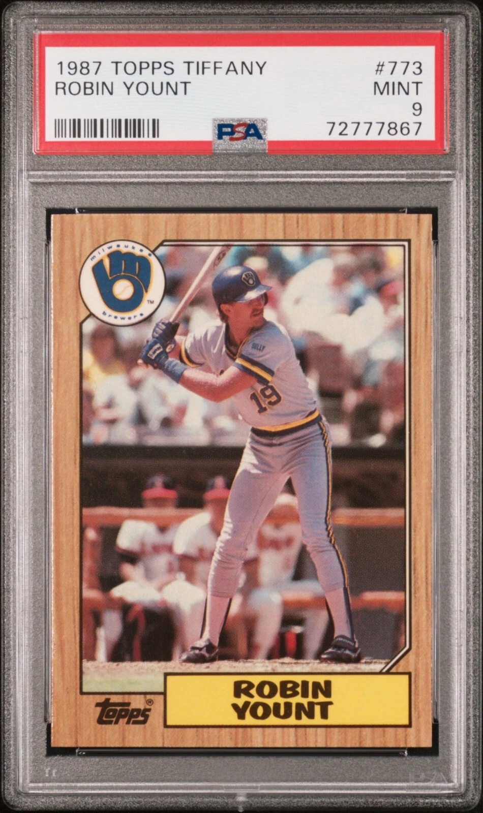 Robin Yount  slab