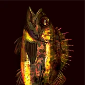 クロソイ｜2026