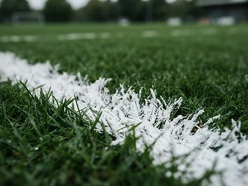 Close-up of a crisp white line on turf