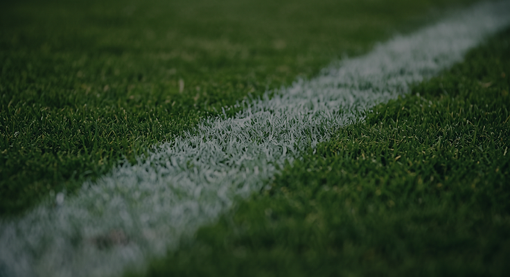 Close-up of a freshly marked crisp white line on natural turf