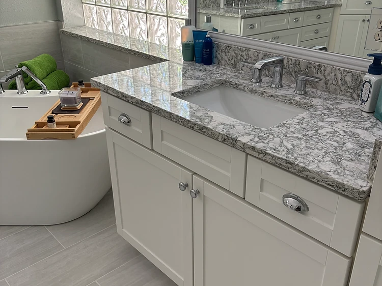 Double Vanity Glass Block Bathroom in Tampa, FL