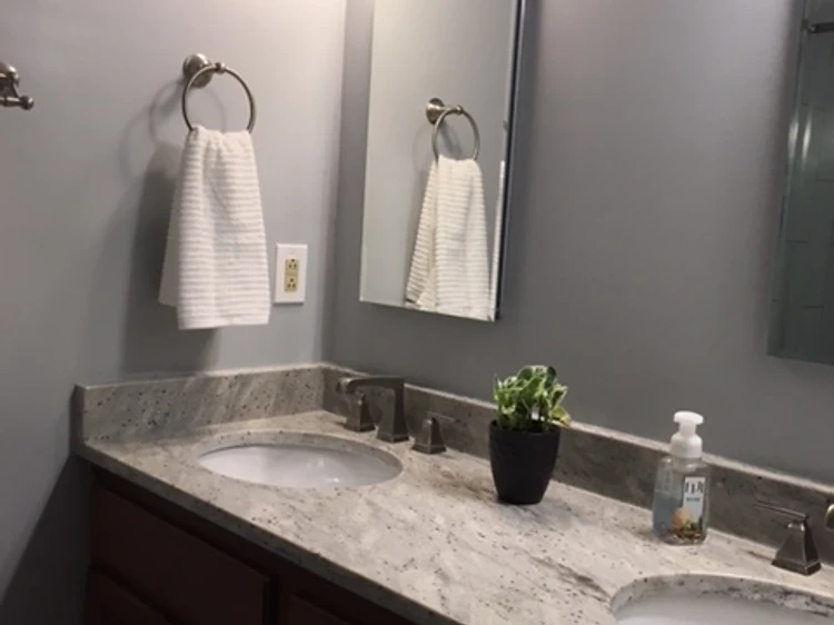 Dark Wood Bathroom Vanity Remodel in Tampa, FL
