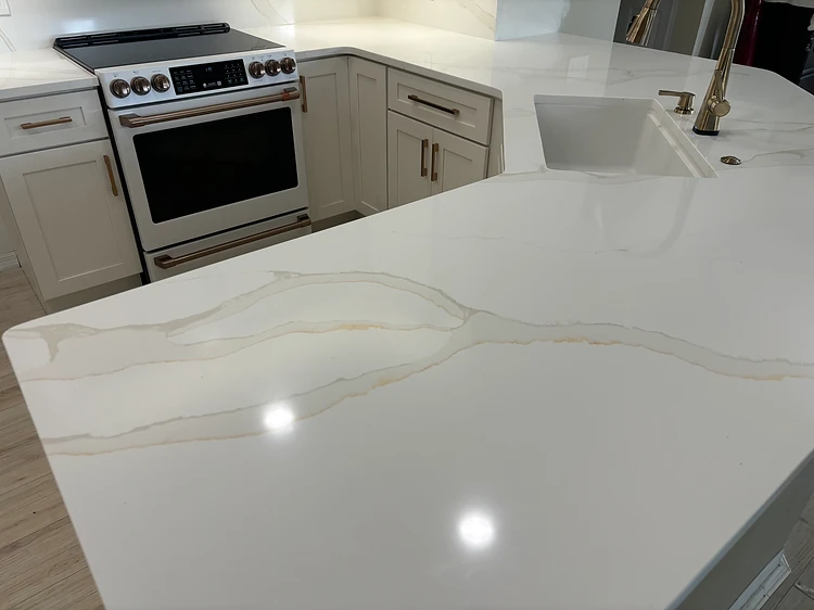 Quartz Countertop Kitchen Remodel in Palmetto, FL