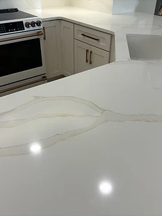 Quartz Countertop Kitchen Remodel in Ruskin, FL