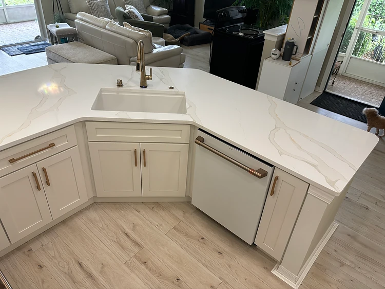 Kitchen Sink Cabinet Remodel in Tampa, FL