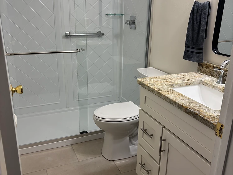 Glass Shower Bathroom Renovation in Tampa, FL
