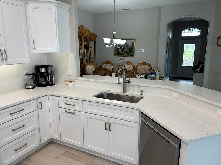 Kitchen Sink Peninsula Design in Tampa, FL