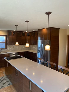 Wood Kitchen Cabinet Remodel in Tampa, FL