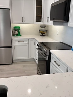 Stainless Appliance Kitchen Remodel in Ruskin, FL