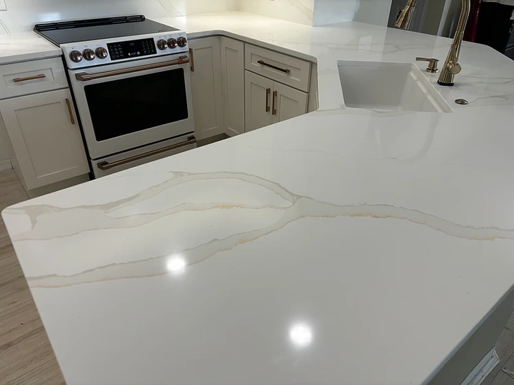 Quartz Countertop Kitchen Remodel in Tampa, FL