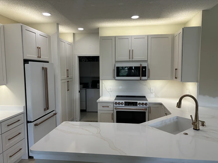 Quartz Kitchen Renovation in Tampa, FL
