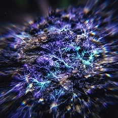 The Mycelium Underground