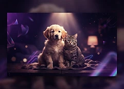 Pets & Animals