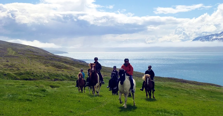 A group riding Icelandic horses beside a fjord