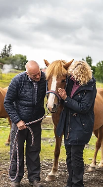 Visitors petting an Icelandic horse