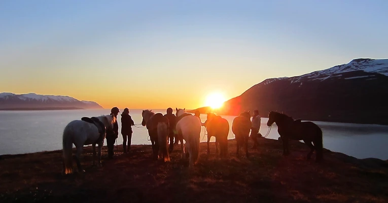 Riders on a hillside above the fjord at sunset