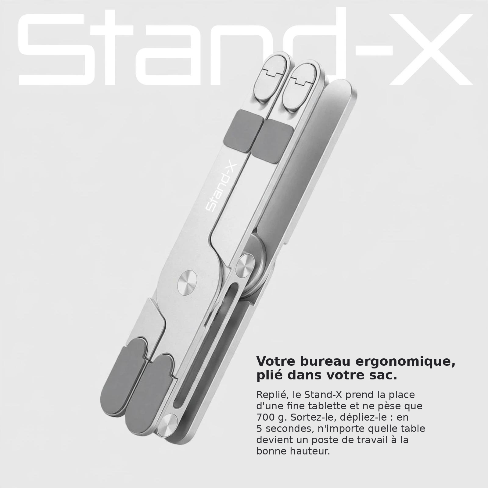 Stand-X 6