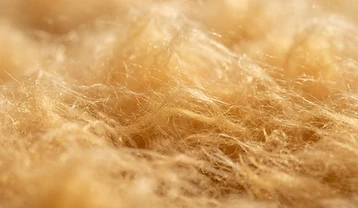 Isolation de toit et calfeutrage