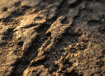 Texture Study — Slate Grain