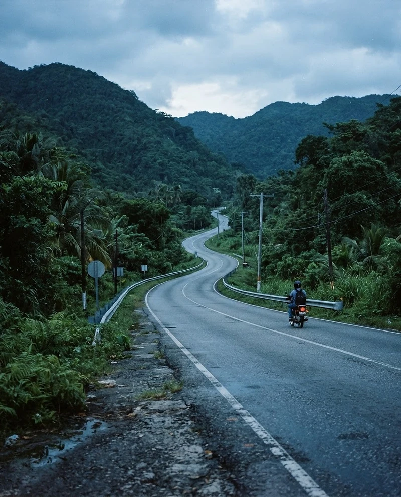 A courier riding northbound on a Jamaican highway at dusk