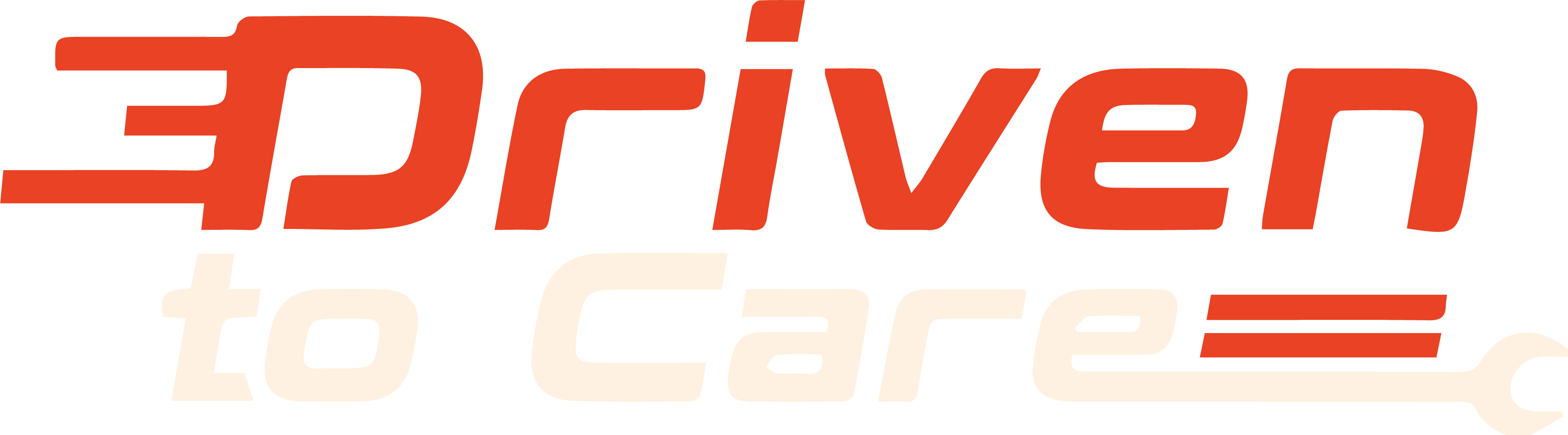 Driven to Care foundation logo