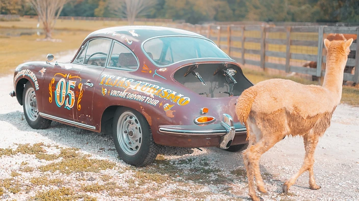 The burgundy Porsche 356 parked on a gravel path with an alpaca walking past the rear, engine cover open