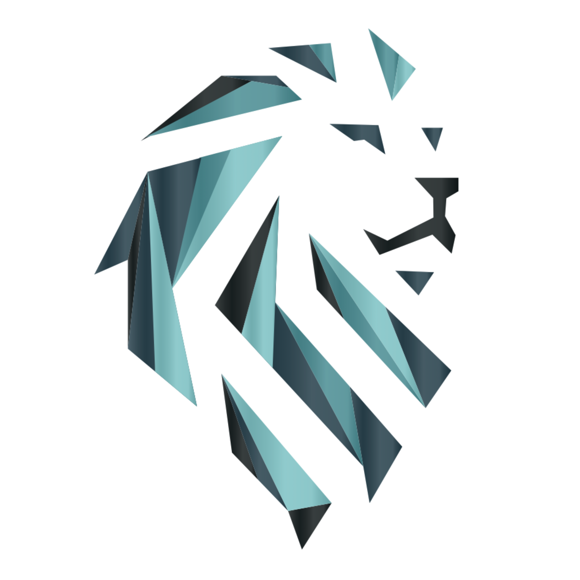 Lift the Soul Fitness logo