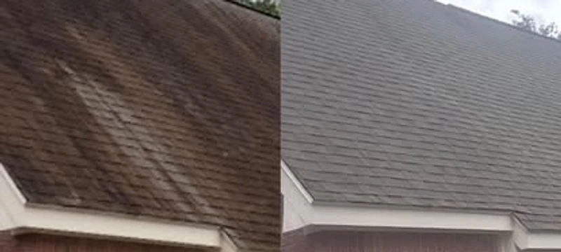 Roof Cleaning exterior cleaning