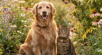 Animal Benefits