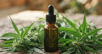 How Long Does CBD Take to Work? What You Should Know