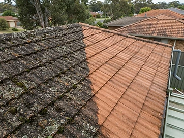 Roof Cleaning
