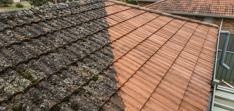 Moss and lichen on a tiled roof being cleaned