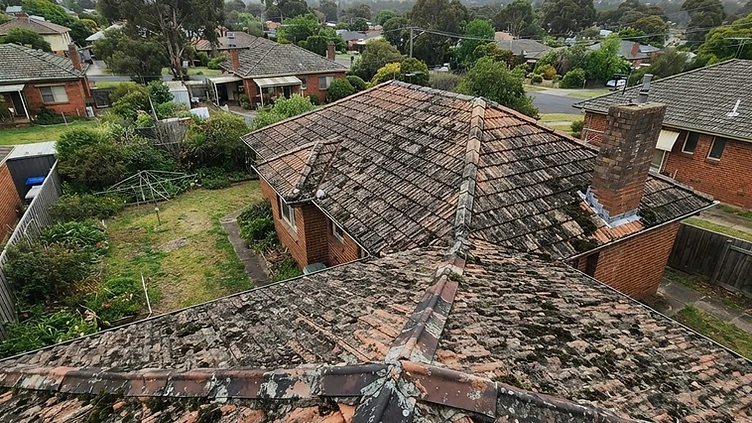 Tiled roof covered in moss and lichen before cleaning