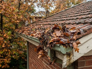 Gutter Cleaning
