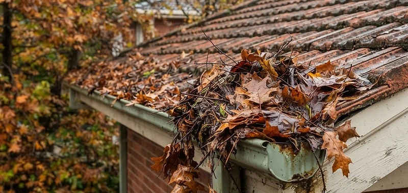 Gutter full of leaves and debris needing cleaning