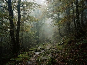 Passo della Cisa – Pontremoli