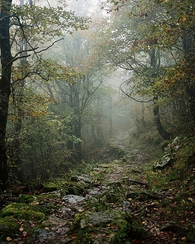 Passo della Cisa – Pontremoli