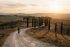 Pellegrino solitario tra i cipressi