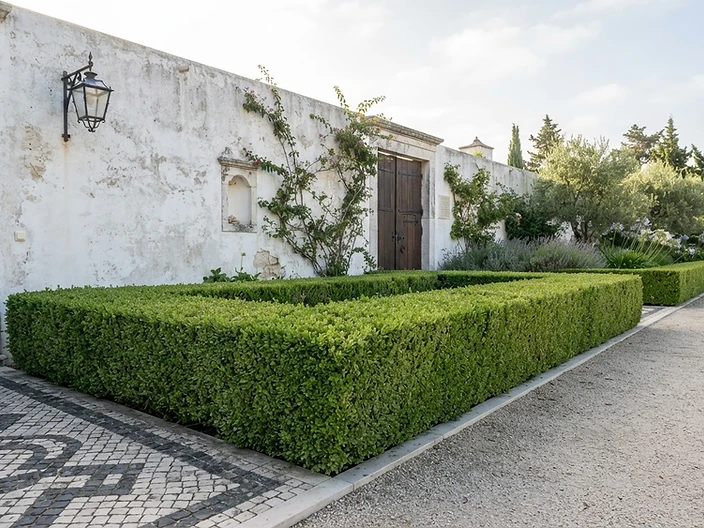 Private residence garden — property oversight by The Cascais House Company