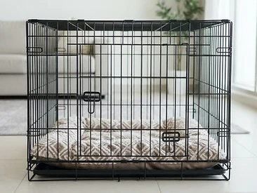 XL Dog Cage + Cushion Bed Set - Clean