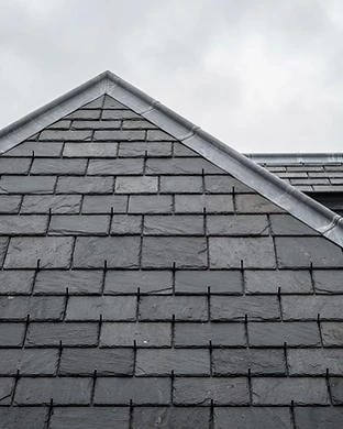 Roof Restoration & Soft-Wash, East Sussex