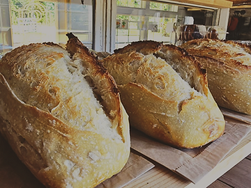 Bakery