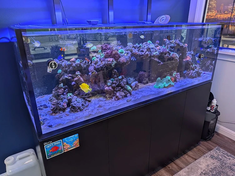 The saltwater reef aquarium in the American Business Copiers office