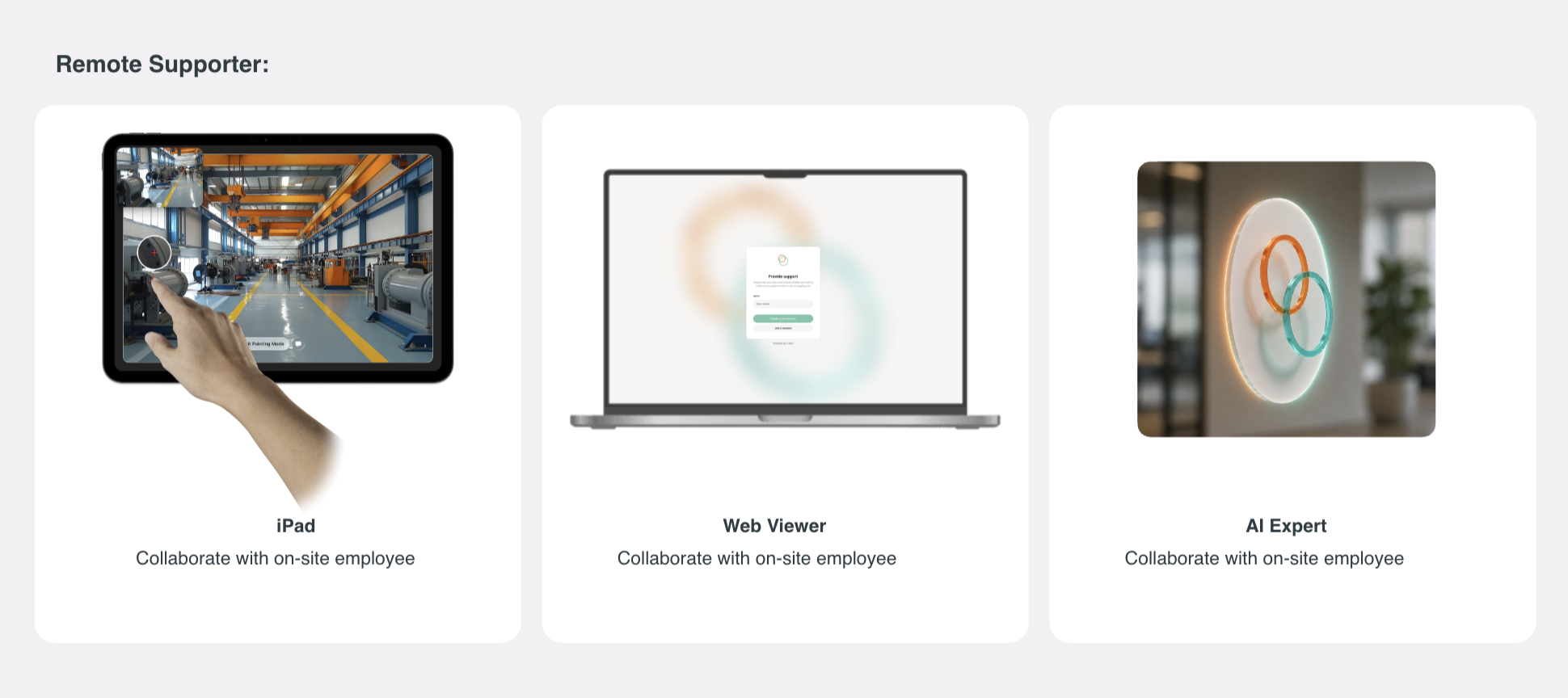 Remote Supporter: iPad, Web Viewer, and AI Expert