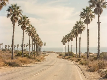 Notes from the Coast