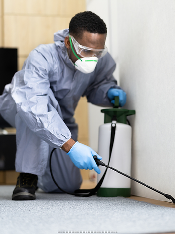 Pest Control