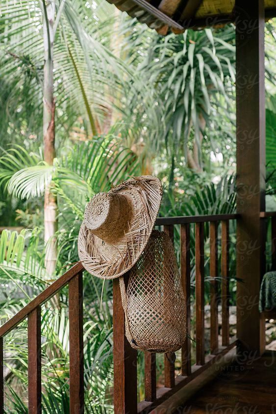 Climbing & Surfing Yoga Retreat in Mexico 7