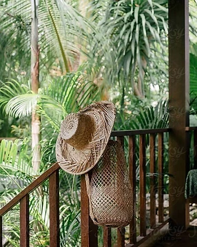 Climbing & Surfing Yoga Retreat in Mexico · photo 7