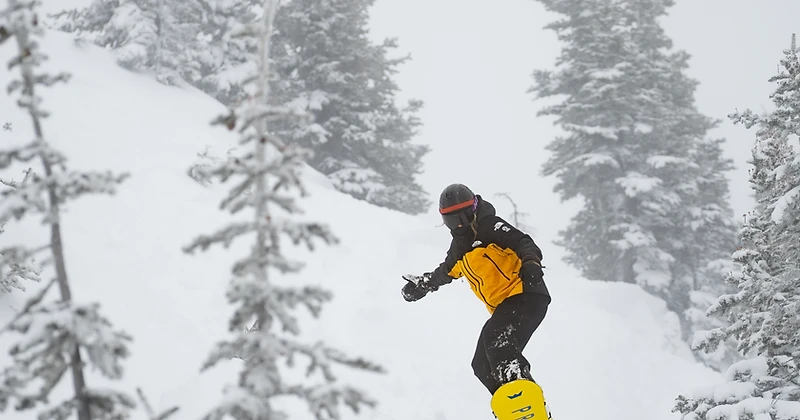 Reading avalanche bulletins