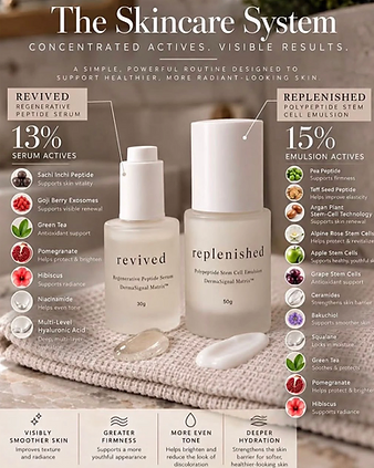 The Skincare System — concentrated actives